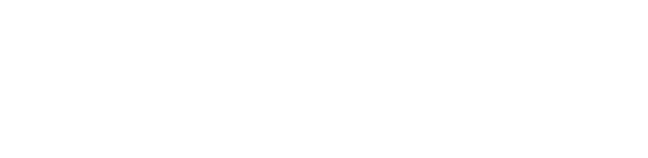 Protra Group Logo